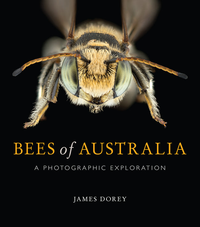 Bees Of Australia - A Photographic Exploration