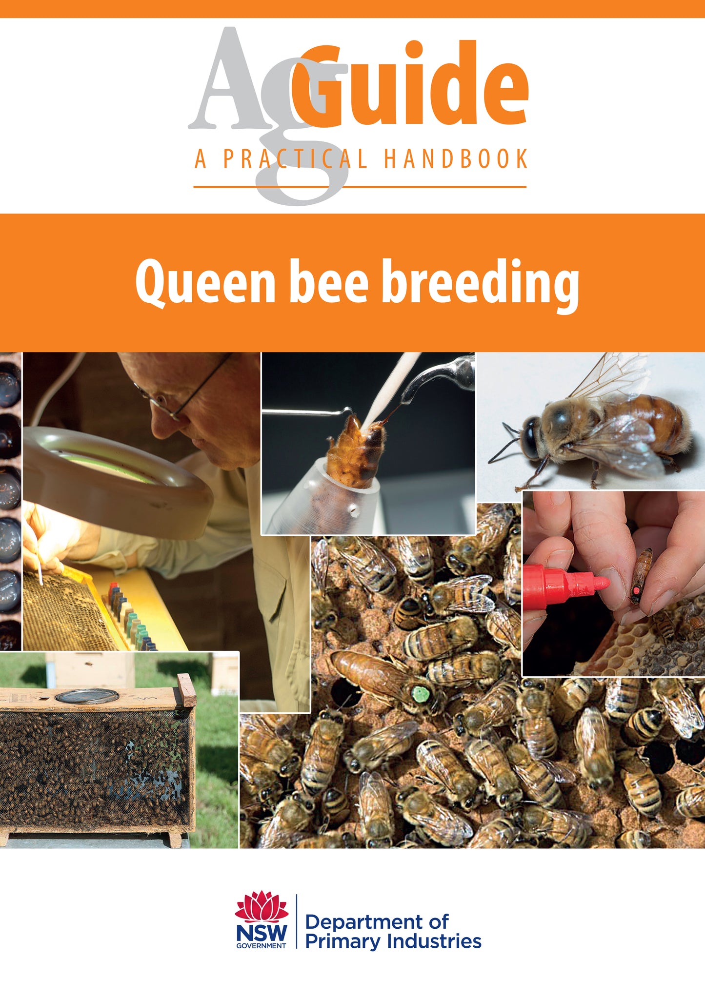 Queen Bee Breeding - AgGuide