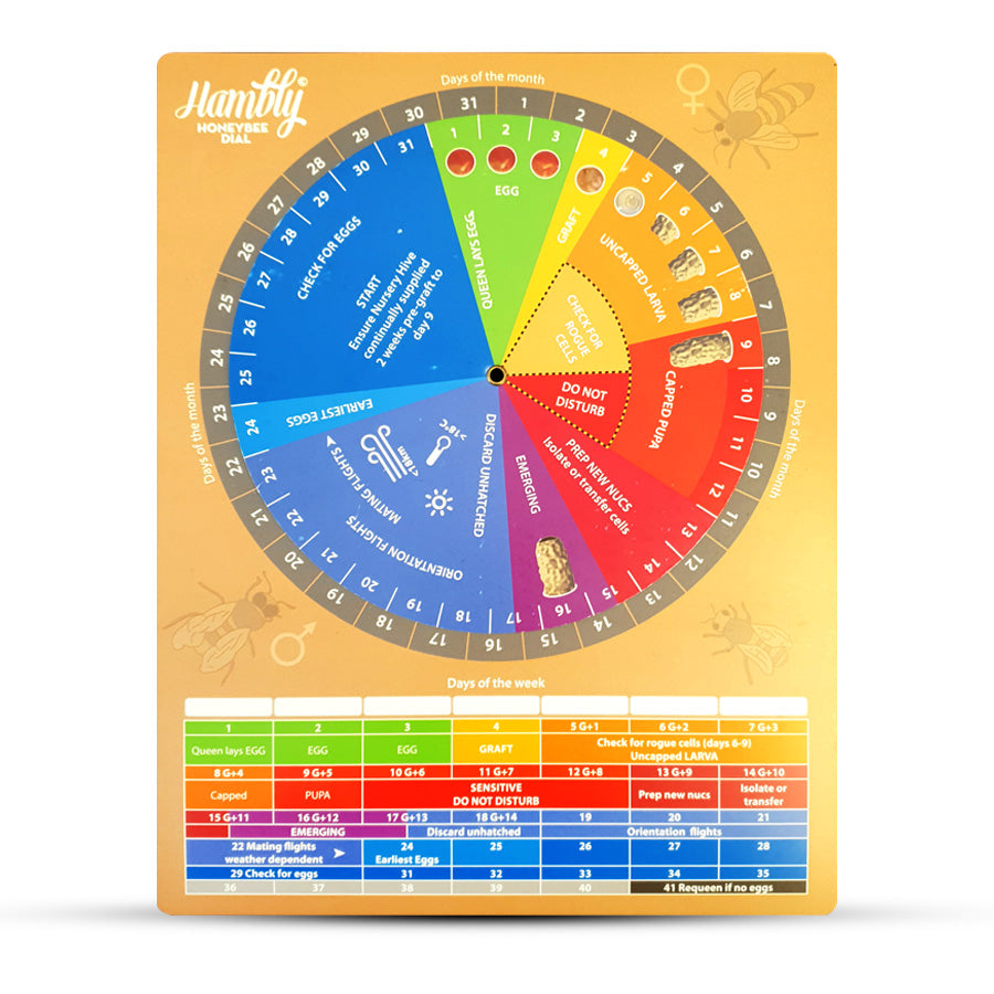 Hambly Queen Dial and Queen V Tool Package