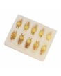 Royal Queen Rearing & Royal Jelly Kit