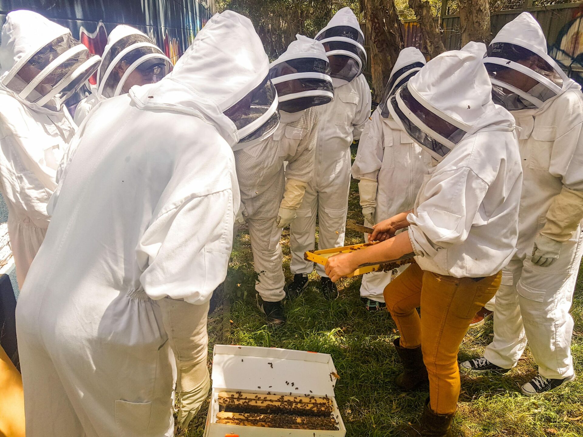 Group of students gathered around a hive during beekeeping course in Sydney
