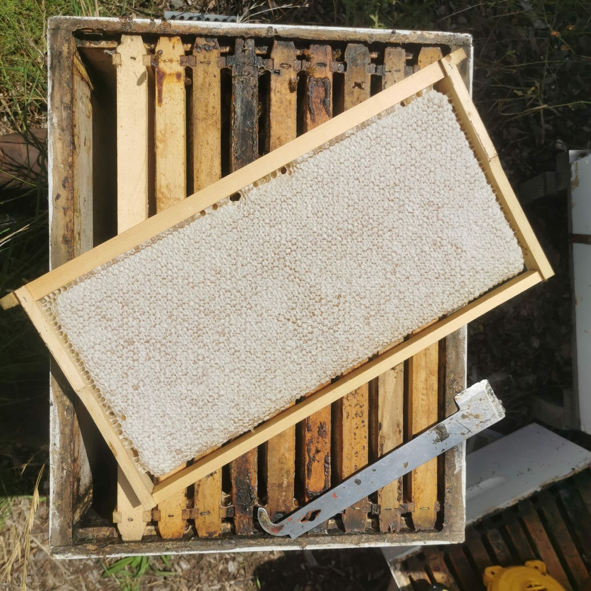 Urban Beehive beekeeping equipment, including honey frames, hives and more.